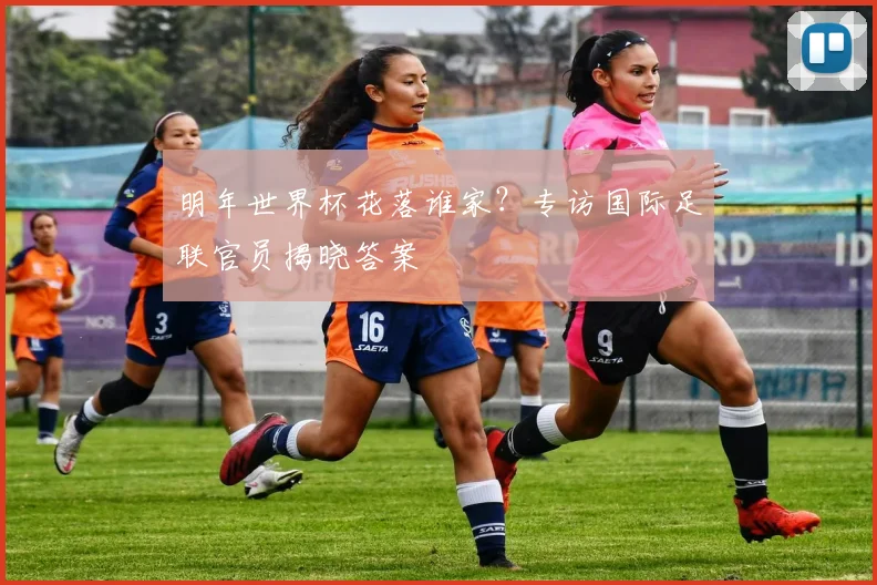 明年世界杯花落谁家?专访国际足联官员揭晓答案