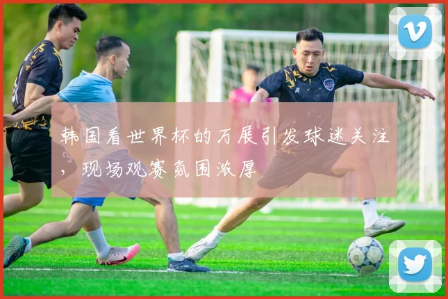 韩国看世界杯的万展引发球迷关注，现场观赛氛围浓厚