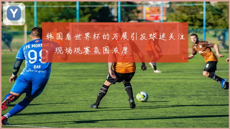 韩国看世界杯的万展引发球迷关注,现场观赛氛围浓厚