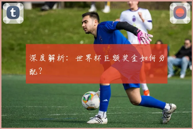 深度解析：世界杯巨额奖金如何分配？