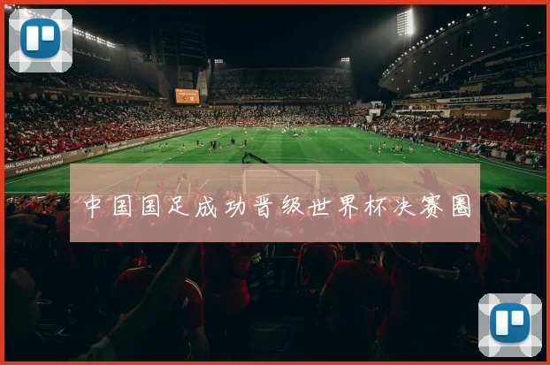 中国国足成功晋级世界杯决赛圈