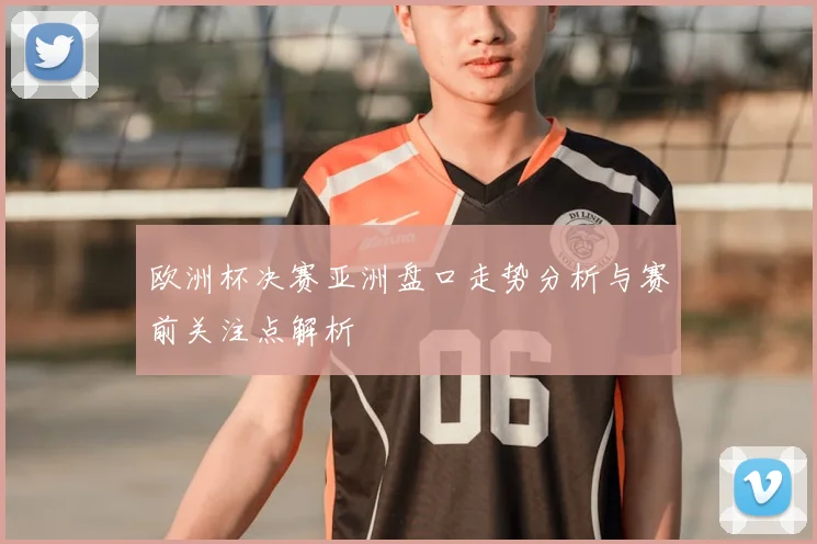 欧洲杯决赛亚洲盘口走势分析与赛前关注点解析