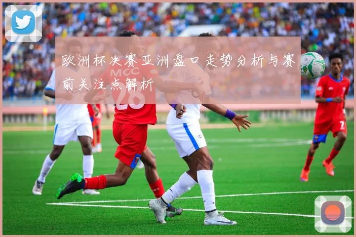 欧洲杯决赛亚洲盘口走势分析与赛前关注点解析